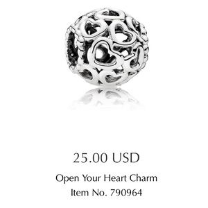 Pandora Charm Open Your Heart